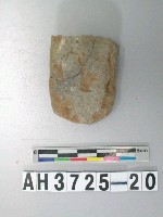 藏品(磨製石錛)的圖片